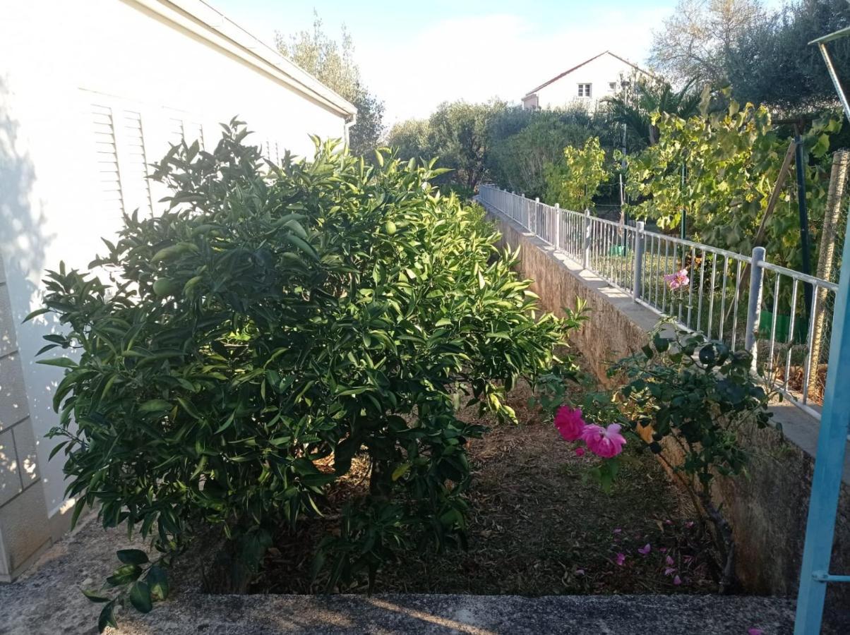 My Mediterranean Villa With Huge Garden And Own Parking Lumbarda Exteriör bild